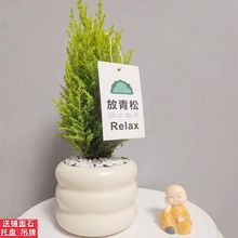 СɾGֲݗԃ՚ֲļL}Q䱱WL