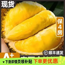 ̩���M�ڽ�����ɏ����ˮ�������r��ܛŴ����������S���]�Ї�