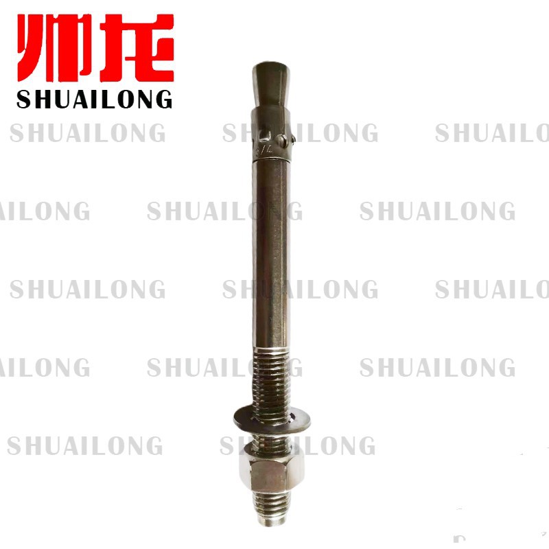 厂家美制3/4不锈钢车修壁虎（S.S304/316 3/4×6” wedge anhor)