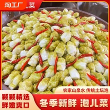 泡脆嫩新鲜泡儿菜四川传统老坛泡菜菜500g酸辣酸萝卜下饭农家爽口