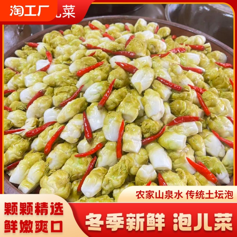 泡脆嫩新鲜泡儿菜四川传统老坛泡菜菜500g酸辣酸萝卜下饭农家爽口