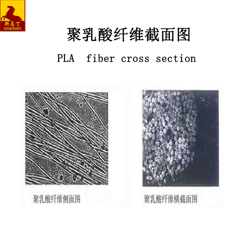 聚乳酸纖維截面圖