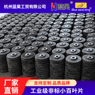 Source Manufacturer Louver Blade Non-Standard Small Size Blue Sand Polishing Blade 50*10 Flat Grinding Wheel Louver Blade
