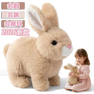 ë�q늄��������늄��Õ��Е���������ӷ�����Ů���^�Ҽ����