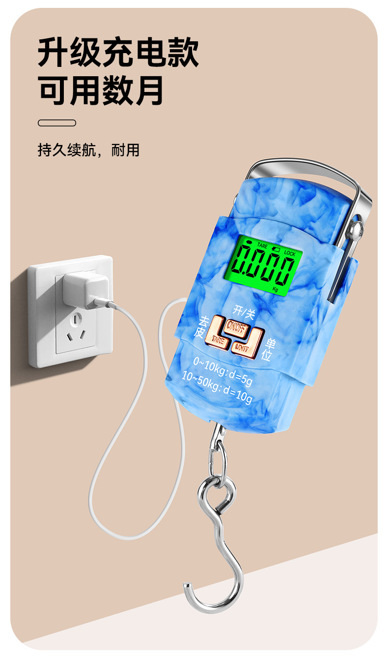 High-precision fishing express scale portable hand scale electronic weighing scale gram scale accurate vegetable sales spring hanging scale electronic balance