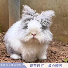 ؈؈�û��w���N�wĘ؈؈�þW�t���͌�����Ӣϵ�������ô����ð��]