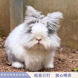 ؈؈�û��w���N�wĘ؈؈�þW�t���͌�����Ӣϵ�������ô����ð��]