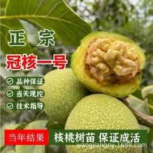 �޽��T��������Ҙ��簫���{���^����������Ա��Ϸ��Nֲ����Y��