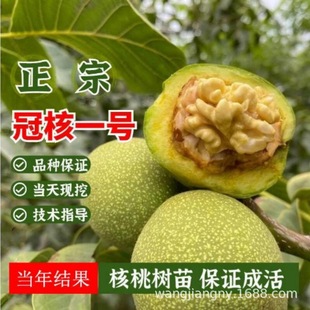 �޽��T��������Ҙ��簫���{���^����������Ա��Ϸ��Nֲ����Y��
