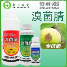 托球炭康25%溴菌腈辣椒苹果葡萄西瓜炭疽病黑星病黑痘病杀菌剂