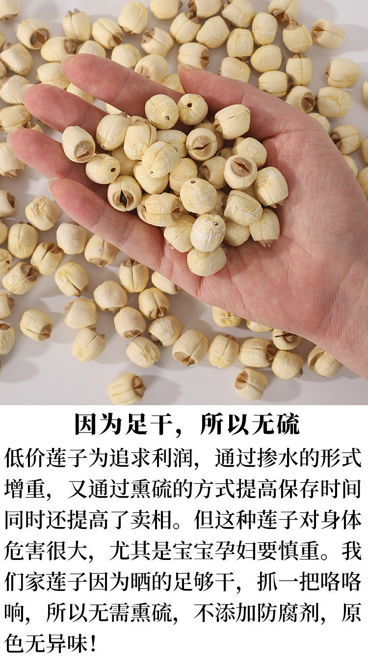 Jianning White Lotus Seeds 2025 Hand Peeled Dried Lotus Seed 500g No Sulfur for Soup and Congee overview