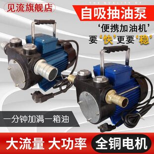 DYB-90/150�����������ͱò���ú�ͼ��͙C220V����ʽ�������ͱ�