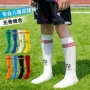 专业儿童实战男童袜子