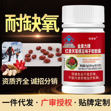 正品一件代发红景天葛根五味子软胶囊提高耐缺氧西藏旅游厂家直售