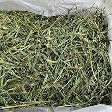 ���r�^������ݸɲ�������؈����������ς}��٪���ú��m�iС���b