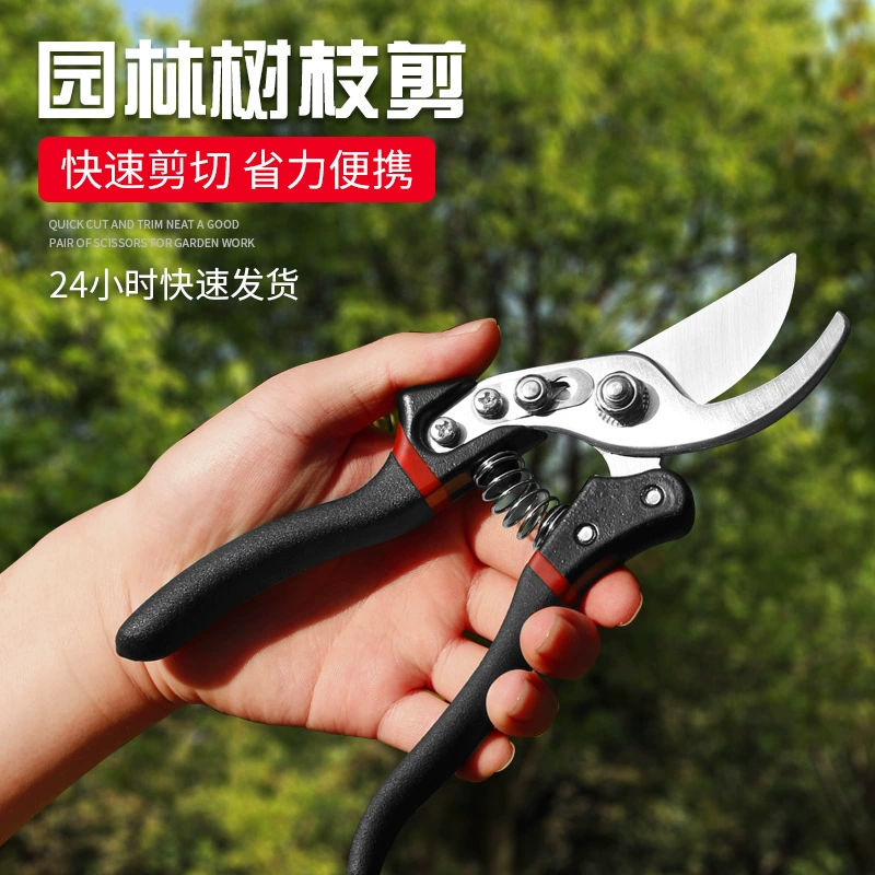Оптовые садовые ножницы для обрезки фруктовых деревьев, ножницы для обрезки толстых веток, ножницы для обрезки цветов, ножницы для сбора фруктов, ножницы для обрезки высоких веток.