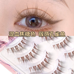 �匦�b������ɫ��ȸ�~�ٽ�ë���l��Ѫ�ظм�β��һƬʽ�۽�ë����