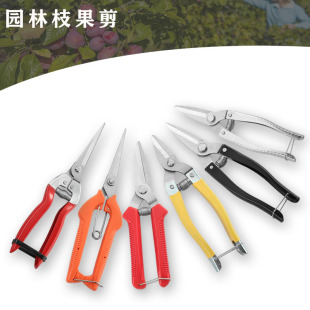 Stainless Steel Garden Branch Shears Garden Pruning Shears Orchard Thin Fruit Shears Fruit Picking Shears Fruit Picking Shears Multi-purpose Garden Shears