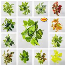 С7�^�����^�z�~�ӿ羳����ֲ��쾰�b����Բ廨�G�~�ٻ��G�}