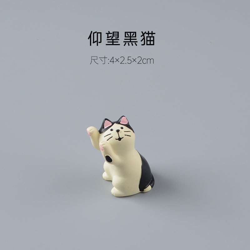 검은 고양이를 보세요.