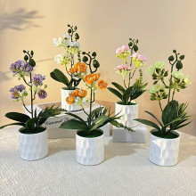 �¿�3��9���֦С�����辰���W�L�͏d�̨�bGֲ�ٻ���������