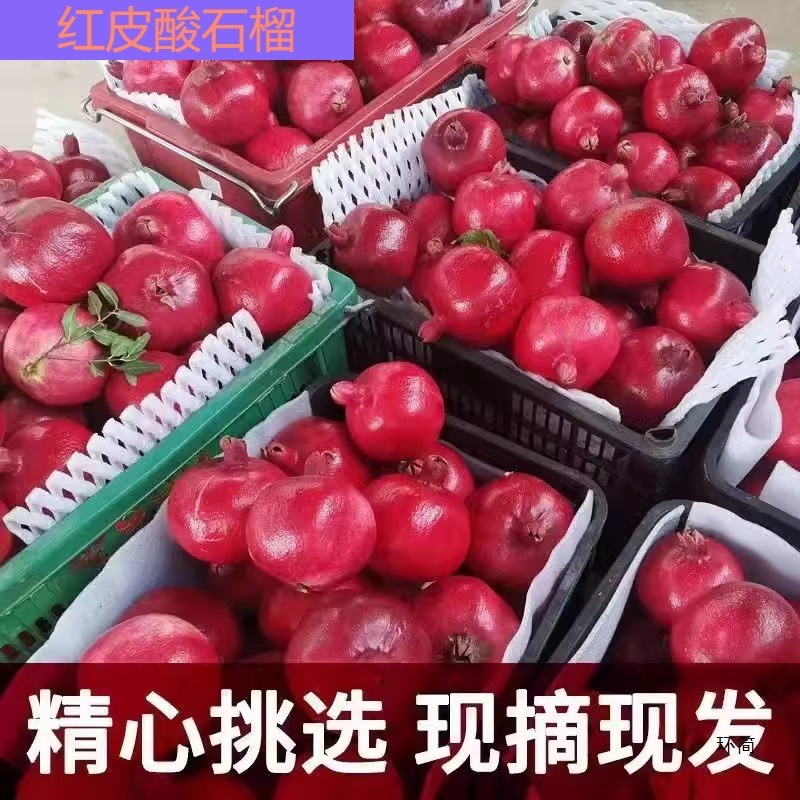 SF Express Free Shipping ~ Shaanxi Xi'an Lintong Tunisian Soft Seed Pomegranate Black Red Soft Seed Sour Pomegranate Expectant Water