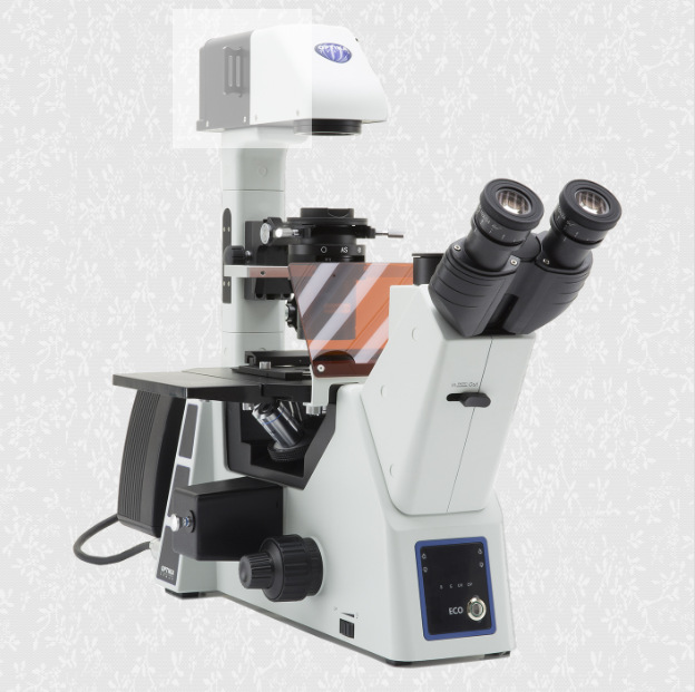 �����OPTIKA IM-5FLD ���о�������ӫ����΢��24mm�ӳ�