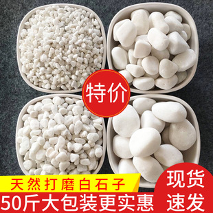 25kg White Pebbles, Large Pebbles, Courtyard Paving, Small White Stones, Garden Landscaping, White Pebbles