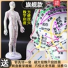 Colored hard models [54cm male model] Armosable digital scale