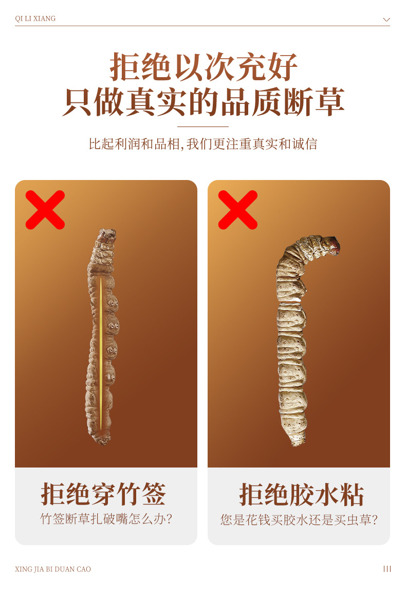 Dried Cordyceps Sinensis Broken Stems 5g Jar Tibetan Plateau Whole Dried Cordyceps for Cooking preparation