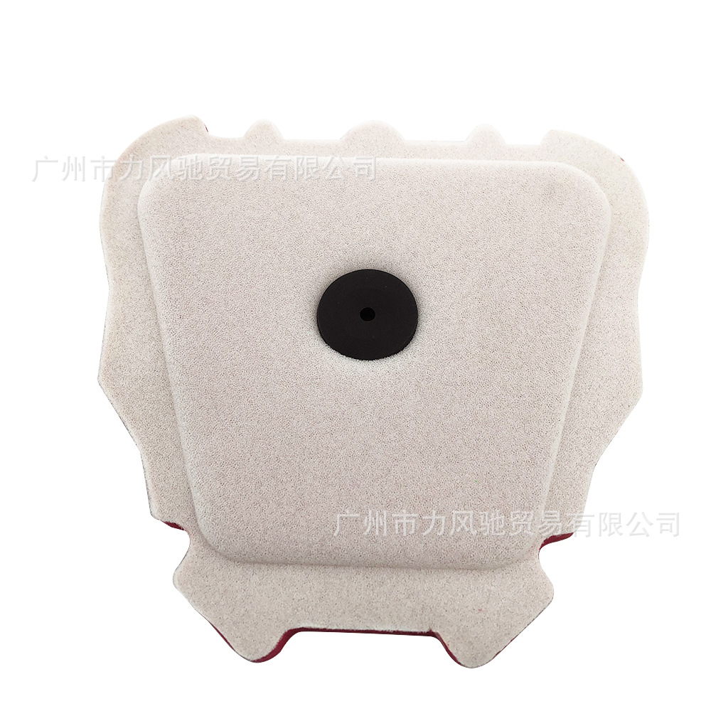 Aplicable para Yamaha YZ250F W250F WR450F XXF250 450 cartucho de filtro de aire esponja