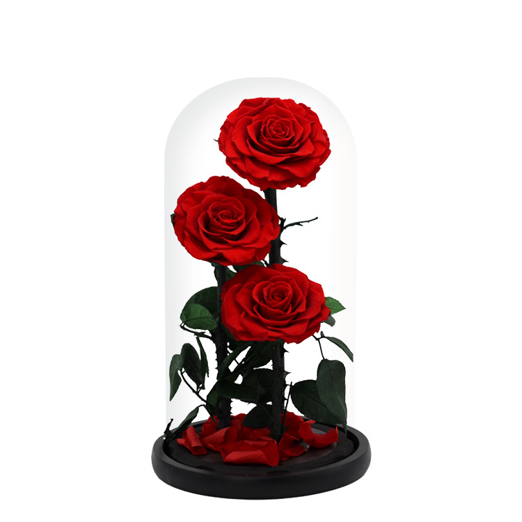Rosa eterna del Principito, regalo de alta gama para el Día de San Valentín, rosa real cubierta de cristal, regalo transfronterizo de Navidad.
