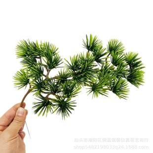 �羳�¿���������֦�°��~�ɘ�֦�پGֲ�ɘ��~�쾰 ܛ�b֦�l