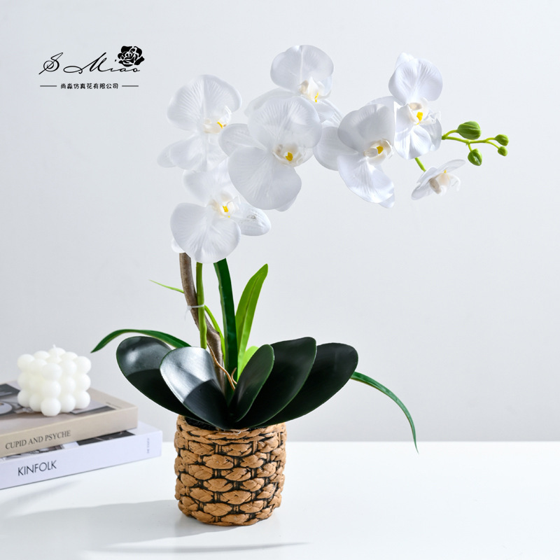 Da7 flores mariposa orquídea bonsai imitación de flores fabricantes directamente para decoración del hogar imitación de flores falsas en maceta ornamentos verdes image 10