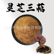 灵芝三萜6%灵芝提取物植物萃取粉末食品级原料水溶性粉现货包邮