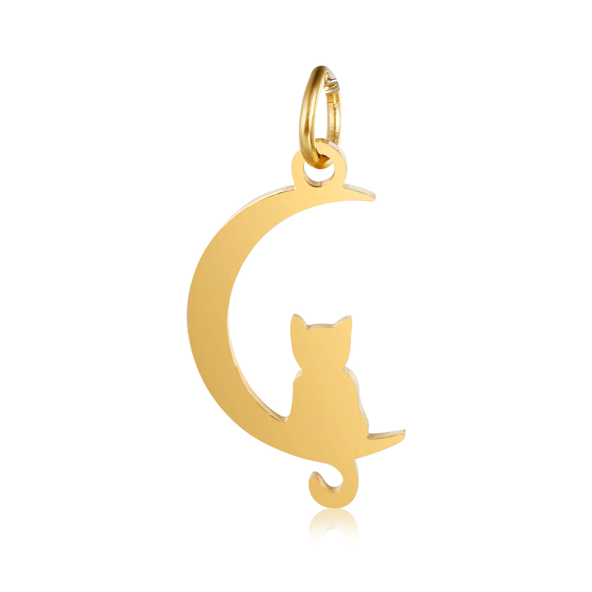 DOOYIO 5 teile/los Edelstahl Pet Halsband Mond Katze Spiegel Poliert Anhänger DIY Machen Halskette Gold-überzogene Zubehör – Detail 4