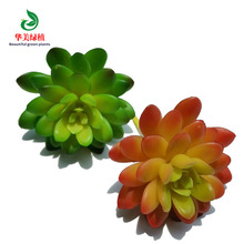仿真多肉植物 宝石莲塑胶绿植物 diy微景观背景墙摆件装饰配材花