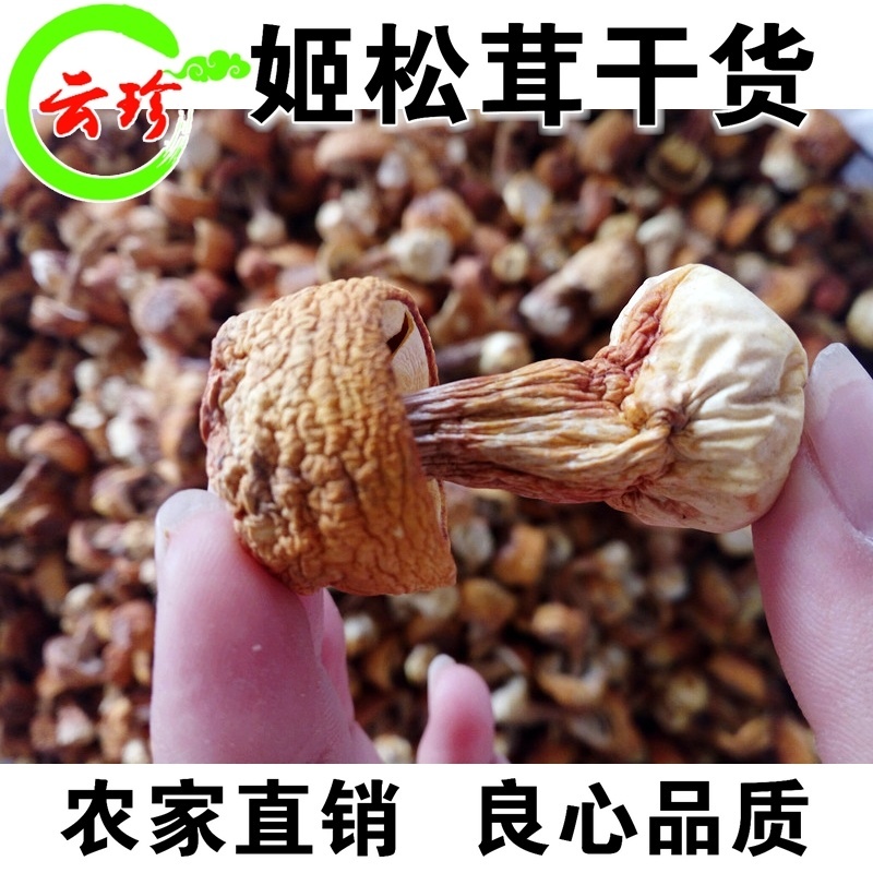 云南野生姬松茸干货100g 巴西蘑菇牛肝菌松茸包邮云南特产 野生菌