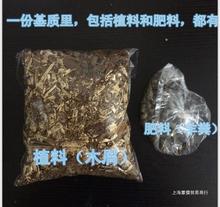 铁皮石斛苗种植料基质松树皮有机营养发酵动物粪料干苔藓青苔水苔