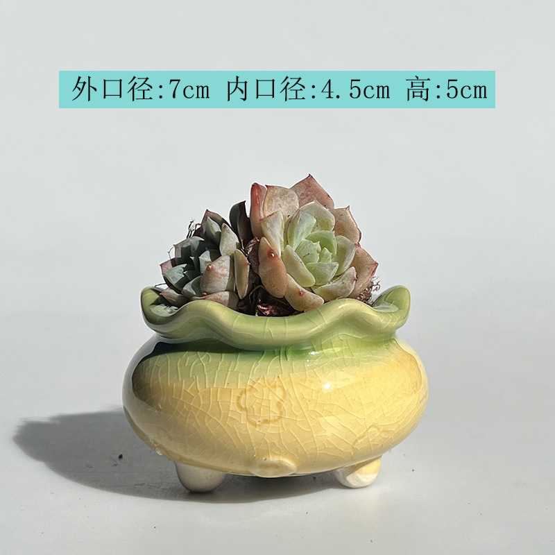 新商品の植木鉢の氷が裂けて虹色が清新で可愛いです。|undefined