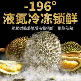 原箱进口D197猫山王榴莲马来西亚液氮冷冻水果果园直销一件代发