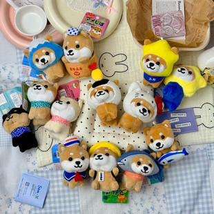 �ɐ��ձ�KT��Ȯ���������޶����񹷹�ը�rë�q������ż����С���