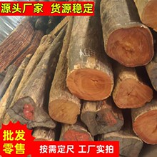 SֱN̩ԭľľ 㻨ľ  黨F؛