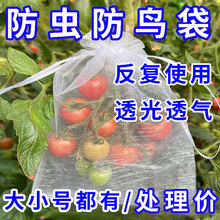 水果套袋葡萄专用套袋瓜果防虫防鸟神器保护纱网袋无花果石榴果袋