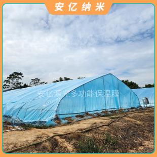 Vegetable greenhouse thermal insulation agricultural film UV resistant greenhouse film aquaculture film multifunctional plastic film