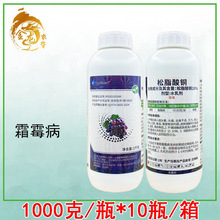 ��֬���~ �����Ҙ䴩�����z���������������߲˽ǰߚ�����1000��