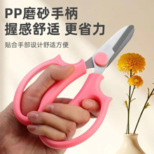 ��ˇ�����r���ꌣ�ò��P���֦�����@ˇ���Ի����޻��廨���ù���