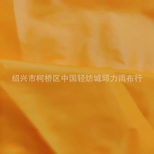 380t尼丝纺  20d尼丝纺 20d尼龙 500多色现货供应 厂家直销