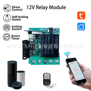 Tuya Smart App Control Remote Control Switch 12V Access Control Rolling Door Alexa Timing Xiao Ai Voice