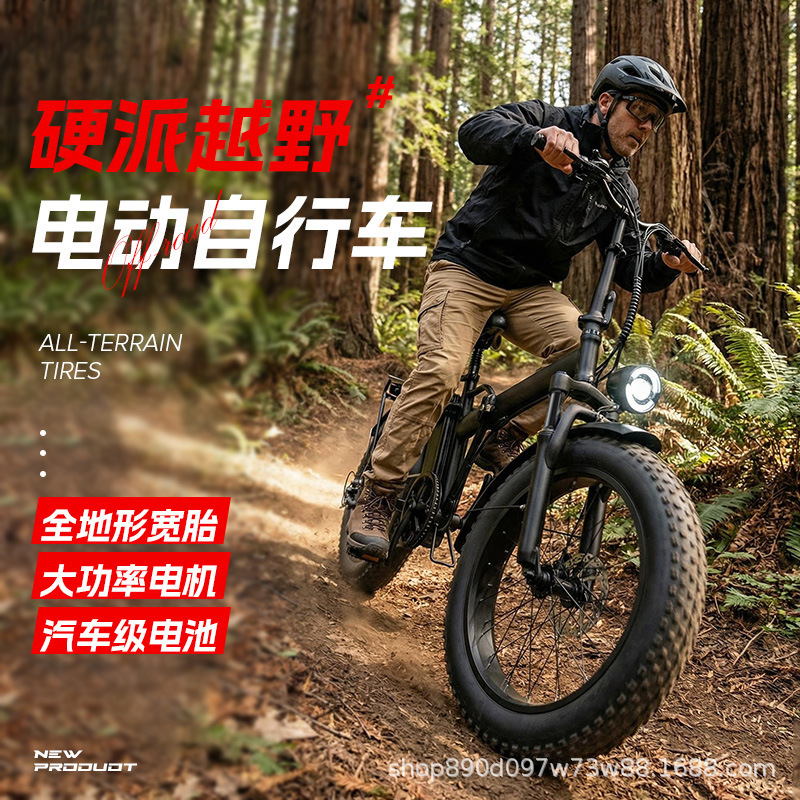 Factory direct off-road electric bicycle 700W all-terrain shock-absorbing electric bike for adult outdoor riding Factory direct off-road electric bicycle 700W all-terrain shock-absorbing electric bike for adult outdoor riding